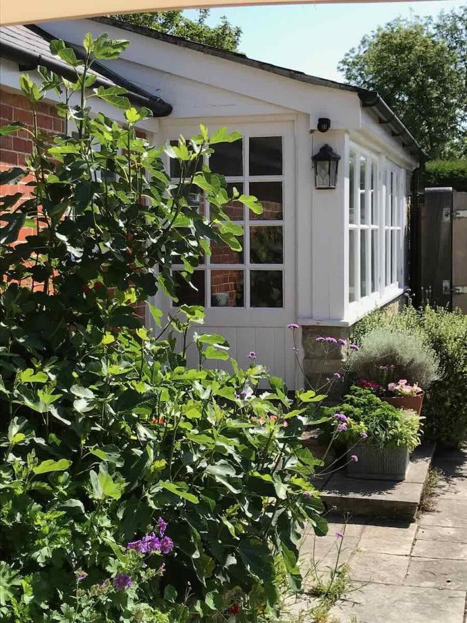 Norburton Hall Cottages Bridport Exteriér fotografie